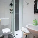 & 布劳恩拉格
