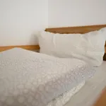 & 旅馆 布劳恩拉格