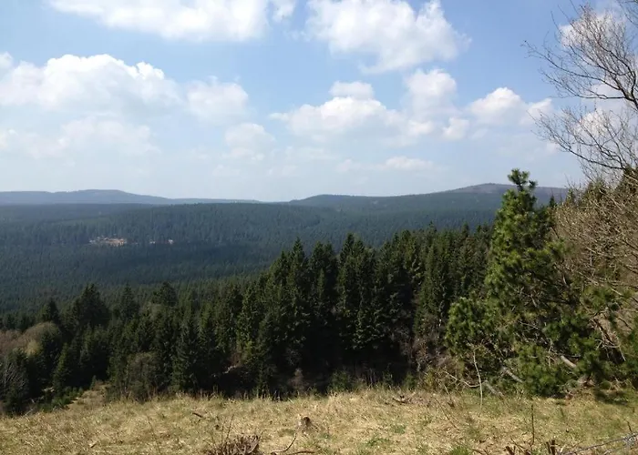 & Браунлаге